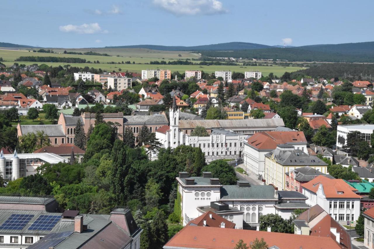 Panorama View Family * Веспрем